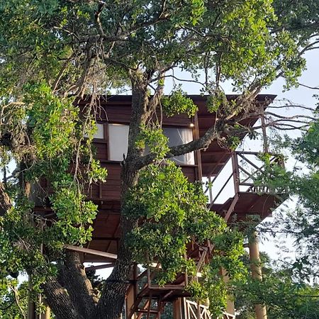 ホテル Leopard Nest - Glamping In ヤーラ エクステリア 写真
