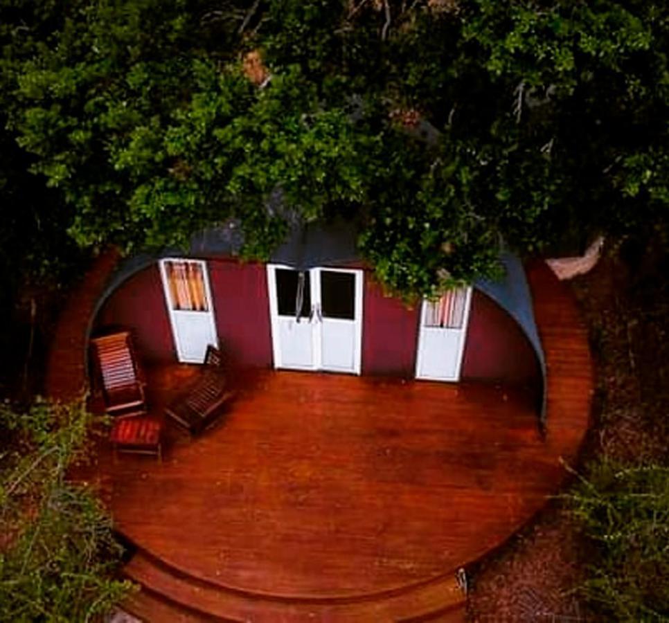 ホテル Leopard Nest - Glamping In ヤーラ エクステリア 写真