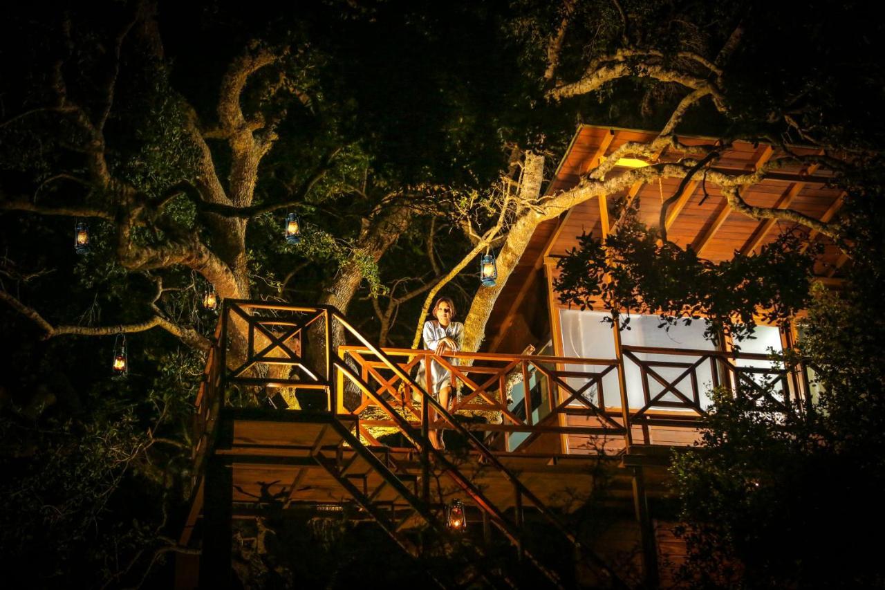 ホテル Leopard Nest - Glamping In ヤーラ エクステリア 写真