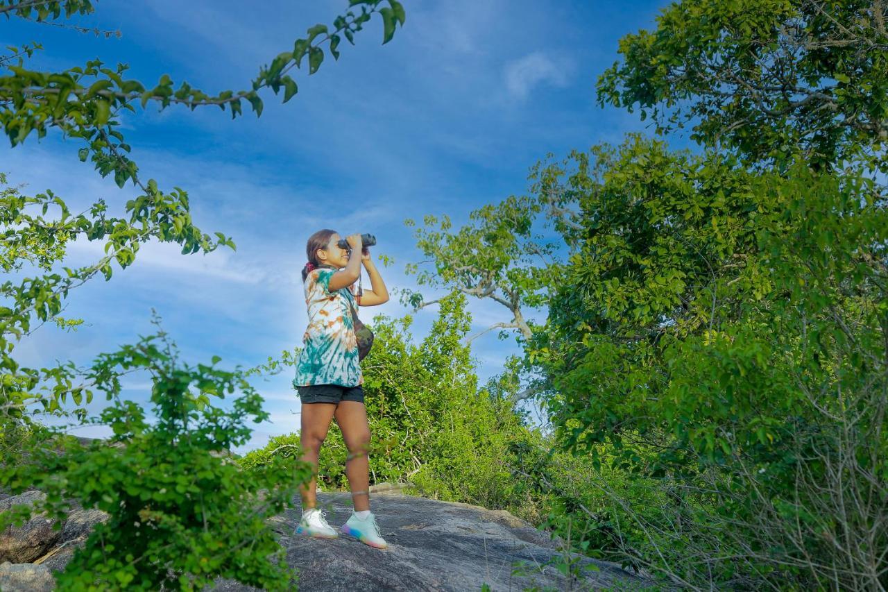 ホテル Leopard Nest - Glamping In ヤーラ エクステリア 写真