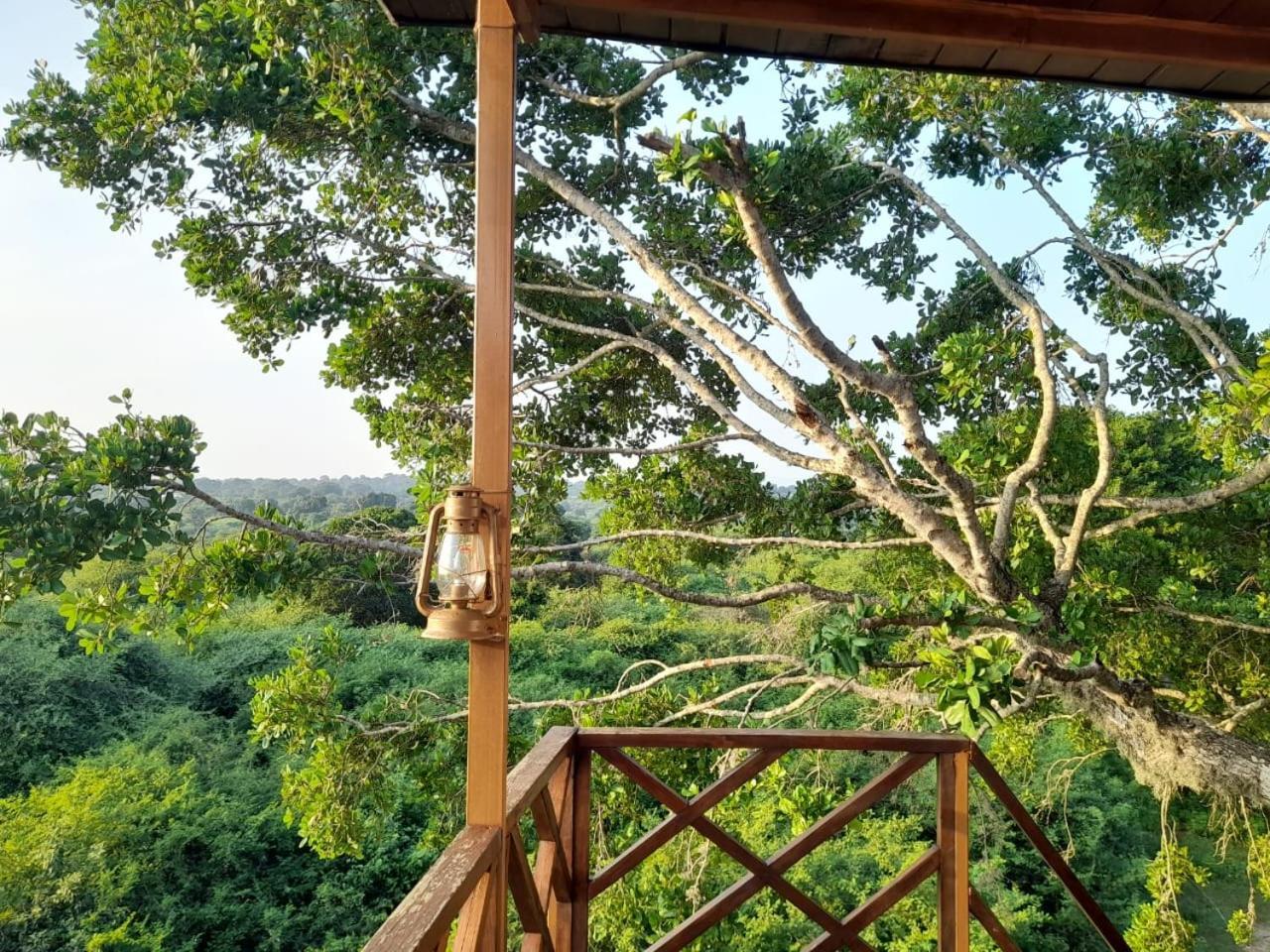 ホテル Leopard Nest - Glamping In ヤーラ エクステリア 写真