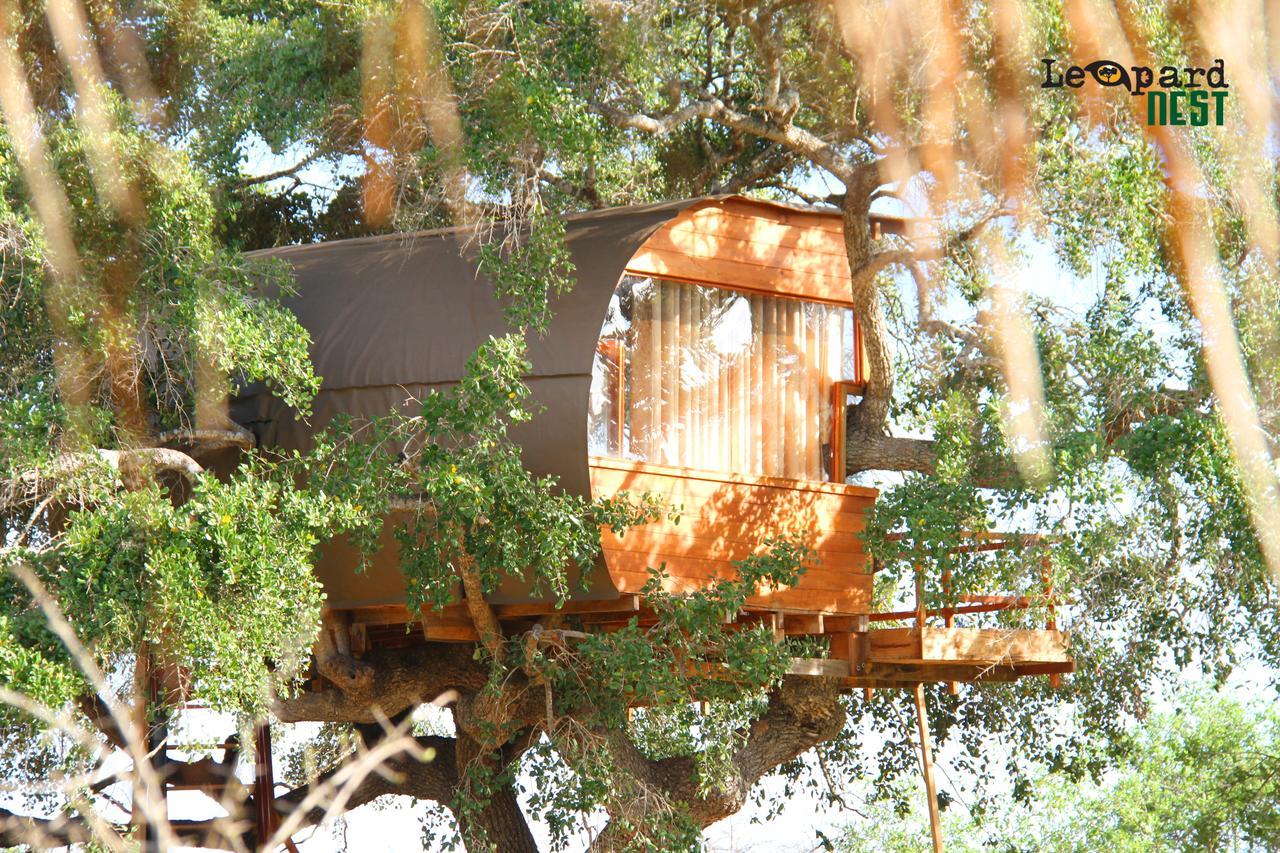 ホテル Leopard Nest - Glamping In ヤーラ エクステリア 写真