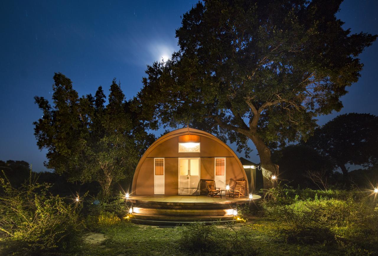 ホテル Leopard Nest - Glamping In ヤーラ エクステリア 写真