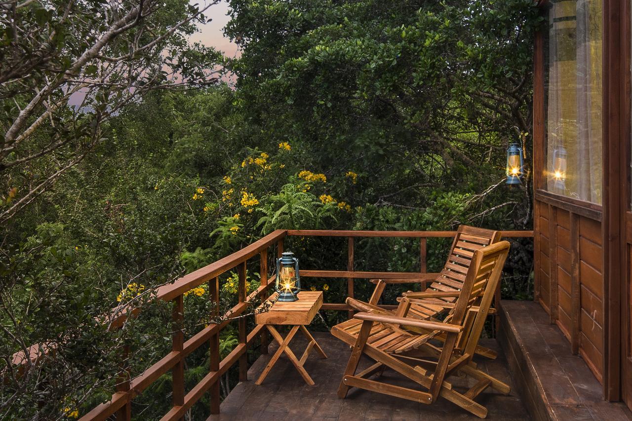 ホテル Leopard Nest - Glamping In ヤーラ エクステリア 写真